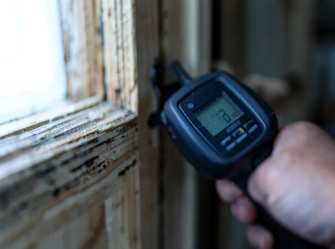 Moisture Inspection And Documentation in Willowbrook, IL